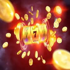 77cd